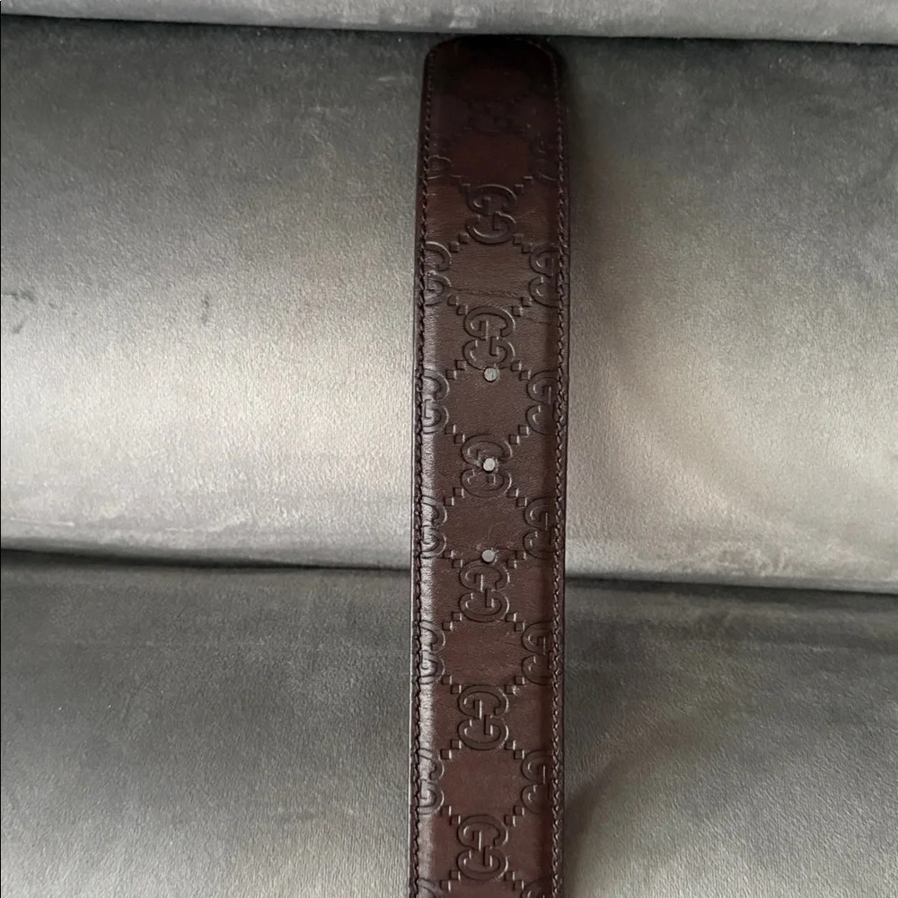 Gucci Dark Brown Belt with Gold Emblem - Picture 2 of 6
